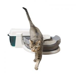 PetSafe Simply Clean Self-Cleaning Cat Litter Box