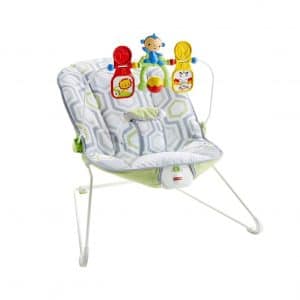 Fisher-Price Geo Meadow Baby’s Bouncer