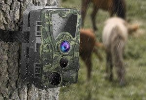 Cheap Trail Cameras