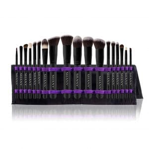 SHANY Artisan’s Easel Elite Cosmetic Brush Set, 18-Pieces