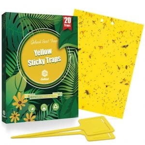 Gideal 20-Pack Dual-Sided Yellow Sticky Traps