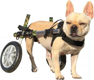 Walkin' Wheels Dog Wheelchair - for Small Dogs 11-25 Pounds - Veterinarian Approved