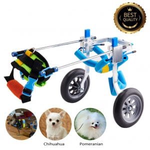 HiHydro 6 Types Cart Pet Wheelchair for Handicapped Hind Legs Small Dog Cat:Doggie:Puppy Walk Stainless Steel XXS-L