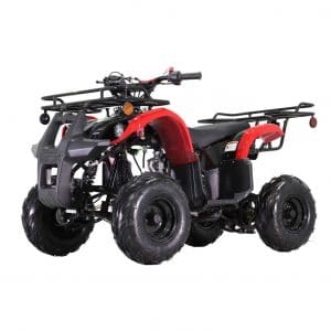X-PRO 125cc Fully Automatic with Reverse ATV Quad