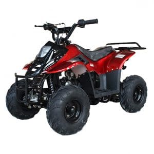 X-PRO 110cc ATV Quad Youth ATVs