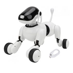 Kuuleyn Remote Control Robot Dog
