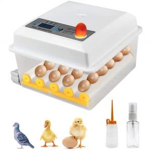 36 Eggs Incubator, Digital Mini Incubator with Automatic Turner for Hatching Chicken Duck Quail Bird Eggs
