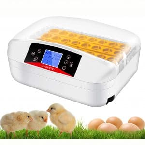Digital Clear Egg Incubator with Automatic Egg Turning and Humidity &amp; Temperature Control, LED Candler,32 Eggs Incubator Breeder