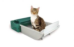 Self Cleaning Cat Boxes