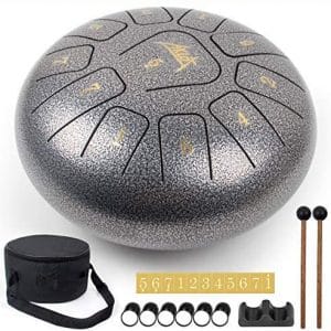 Pan Tongue Drum, AKLOT 10 inch 11 Notes Tank Drum C Key Percussion Pan Drum Kit w Drum Mallets Note Stickers Finger Picks Mallet Bracket and Gig Bag