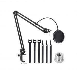 EJT Heavy Duty 19 Inches Extended Mic Arm Stand